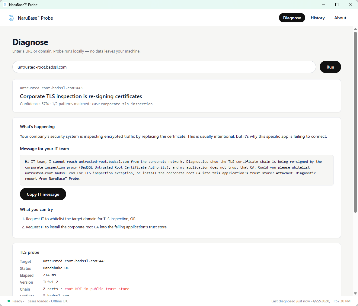 NaruBase™ Probe가 로컬 DNS·TLS 진단을 실행하고 자연어 보고서를 생성하는 화면